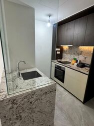 Tembusu Grand (D15), Condominium #534841311